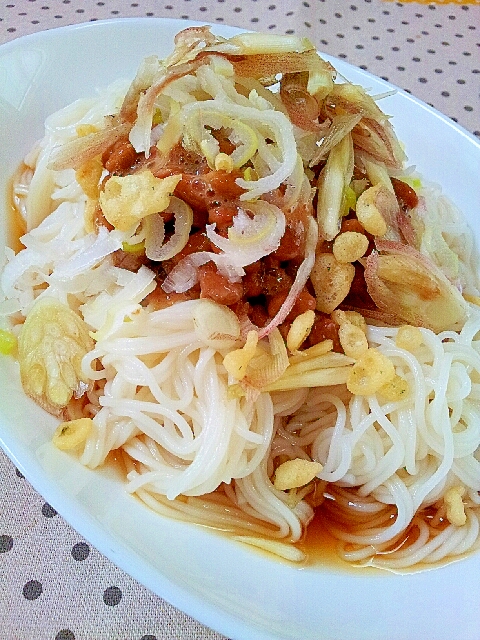 納豆と薬味たっぷり✿ぶっかけ素麺❤
