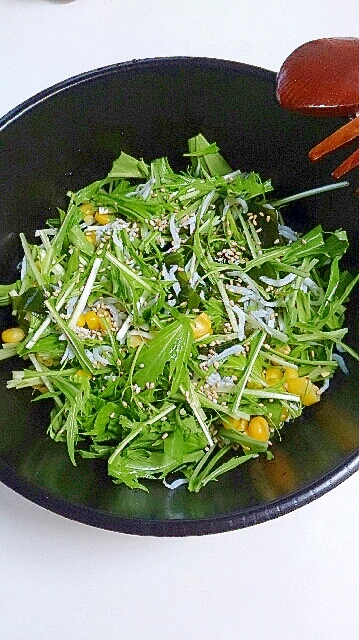 水菜とシラスのわかめサラダ～酢醤油ドレッシング～