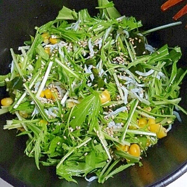 水菜とシラスのわかめサラダ 酢醤油ドレッシング レシピ 作り方 By Ramjetcity 楽天レシピ 水菜とシラスのわかめサラダ 酢醤油ドレッシング レシピ 作り方 By Ramjetcity 楽天レシピ