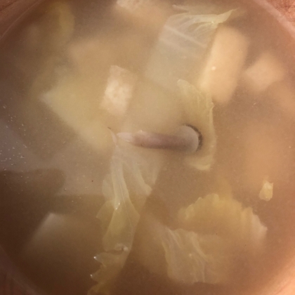 白菜・しめじ・油揚げの冷やし味噌汁