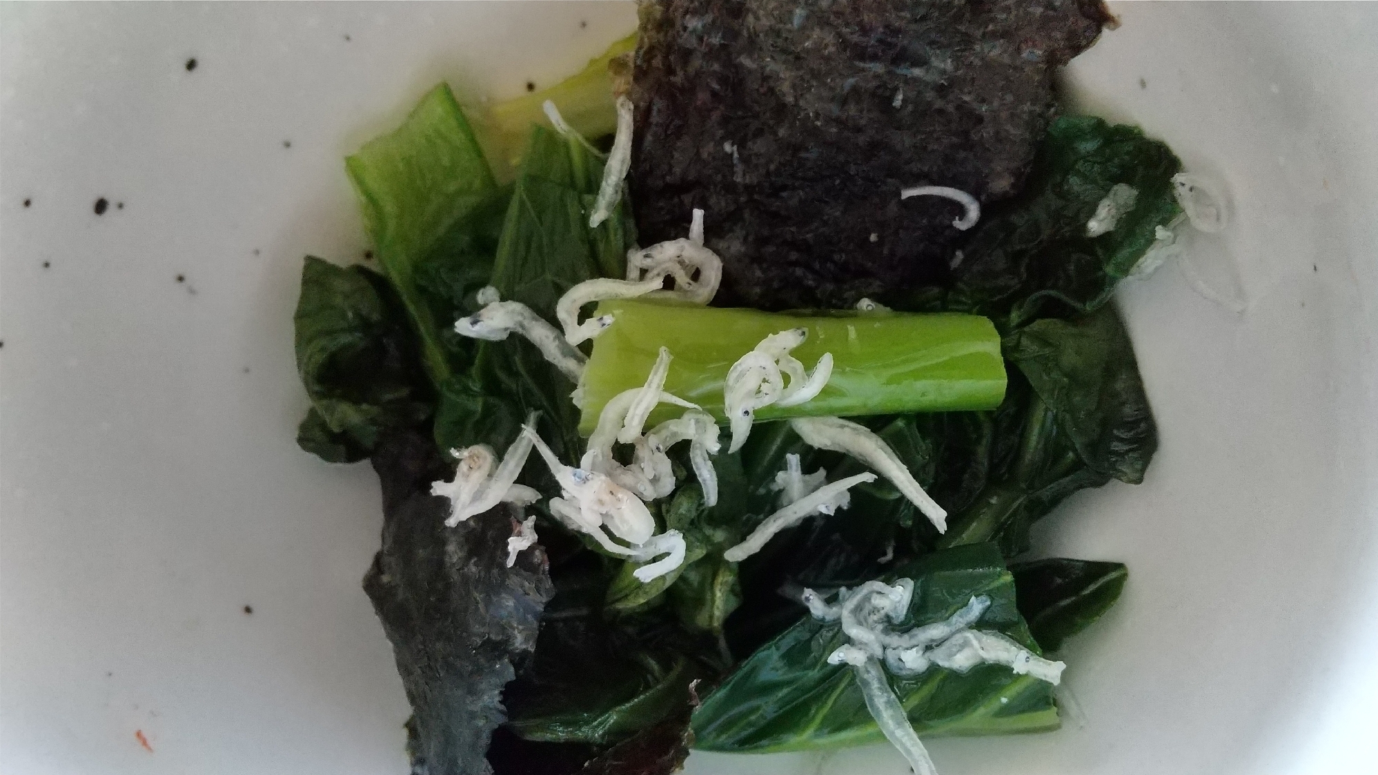 小松菜と焼き海苔の和え物