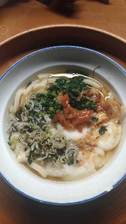 梅とねぎの冷やしとろろうどん