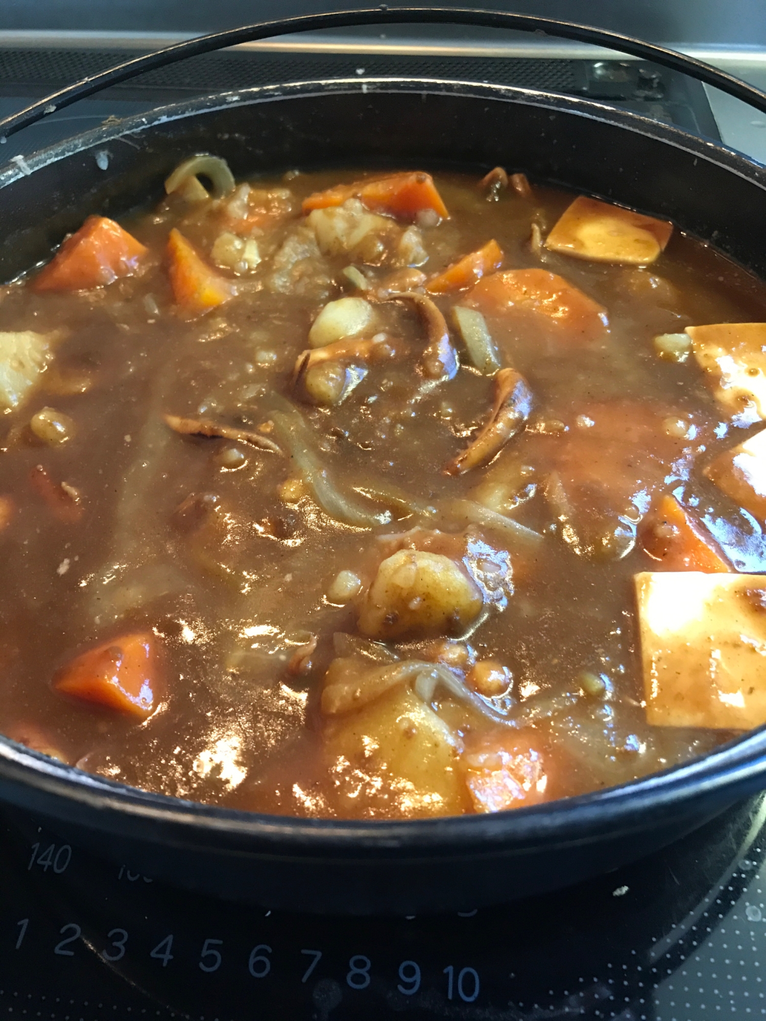 カレーも気分を変えて鍋に