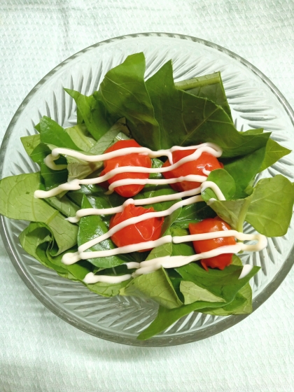 生で美味しい！空芯菜のサラダ