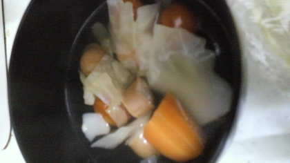 色々いれました(^ω^)
煮込む時間を短くしてしまったら野菜が硬かった…次回は30分、しっかり茹でます!!