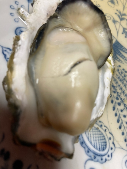 殻付き牡蠣のフライパン酒蒸し