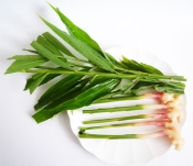 葉生姜のつくね レシピ 作り方 By Liqueur 楽天レシピ 葉生姜のつくね レシピ 作り方 By Liqueur 楽天レシピ