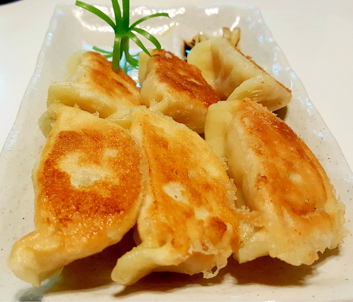 【中国流】基本の焼き餃子「鍋貼（グオティエ）」