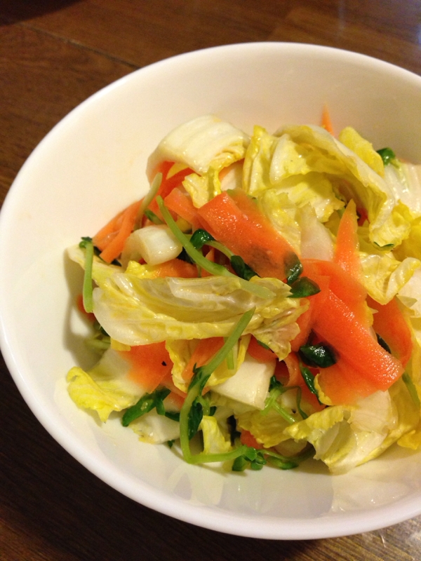 白菜と豆苗の洋風サラダ