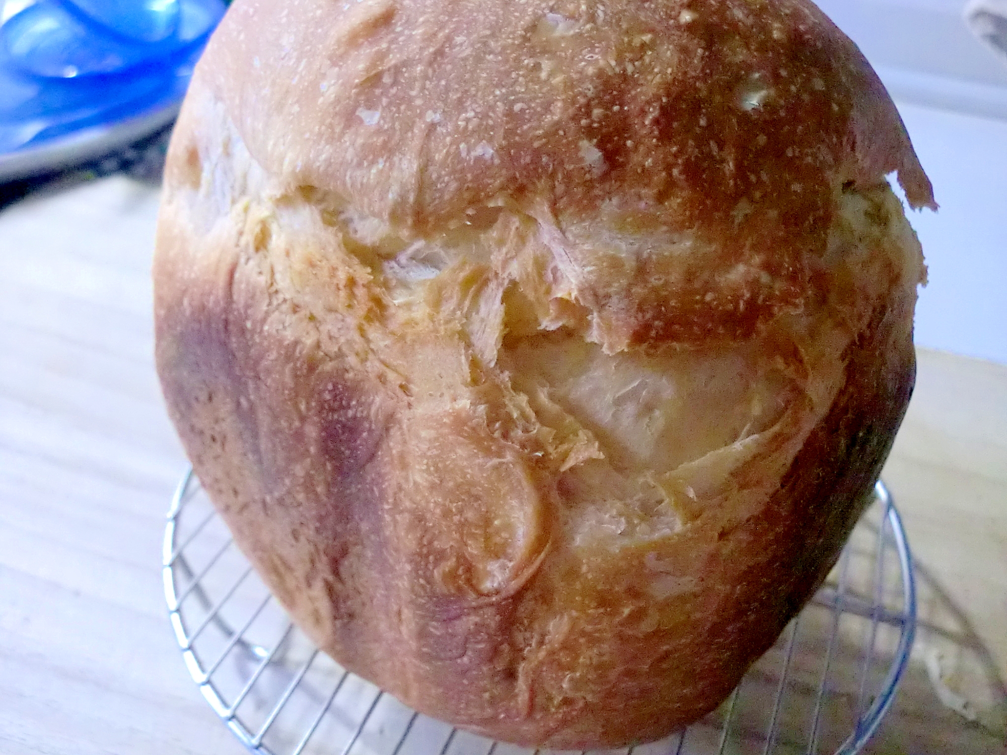 桜海老で風味豊かな米粉パン♪
