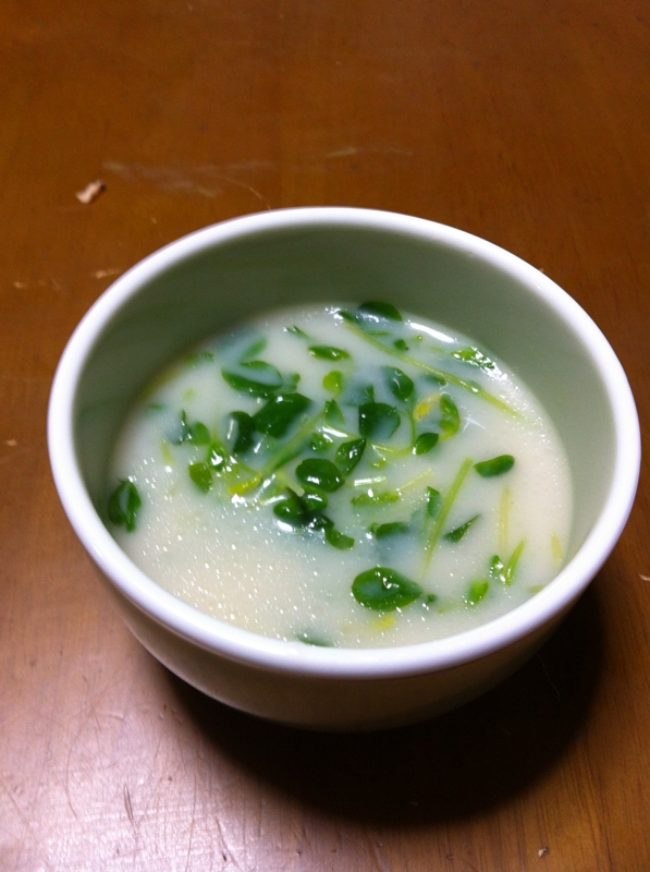 豆苗の豚骨スープ