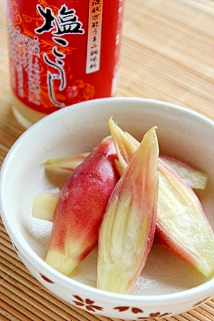 みょうがの塩麹漬け