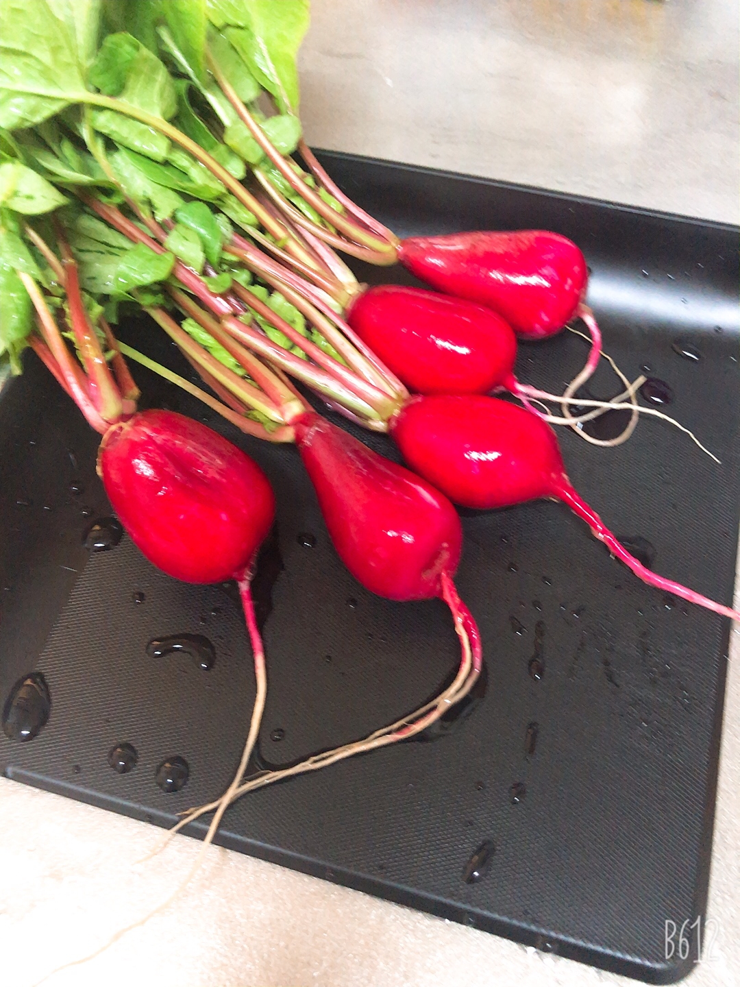 ラディッシュ 二十日大根 の保存方法 レシピ 作り方 By Emi S Kitchen 楽天レシピ