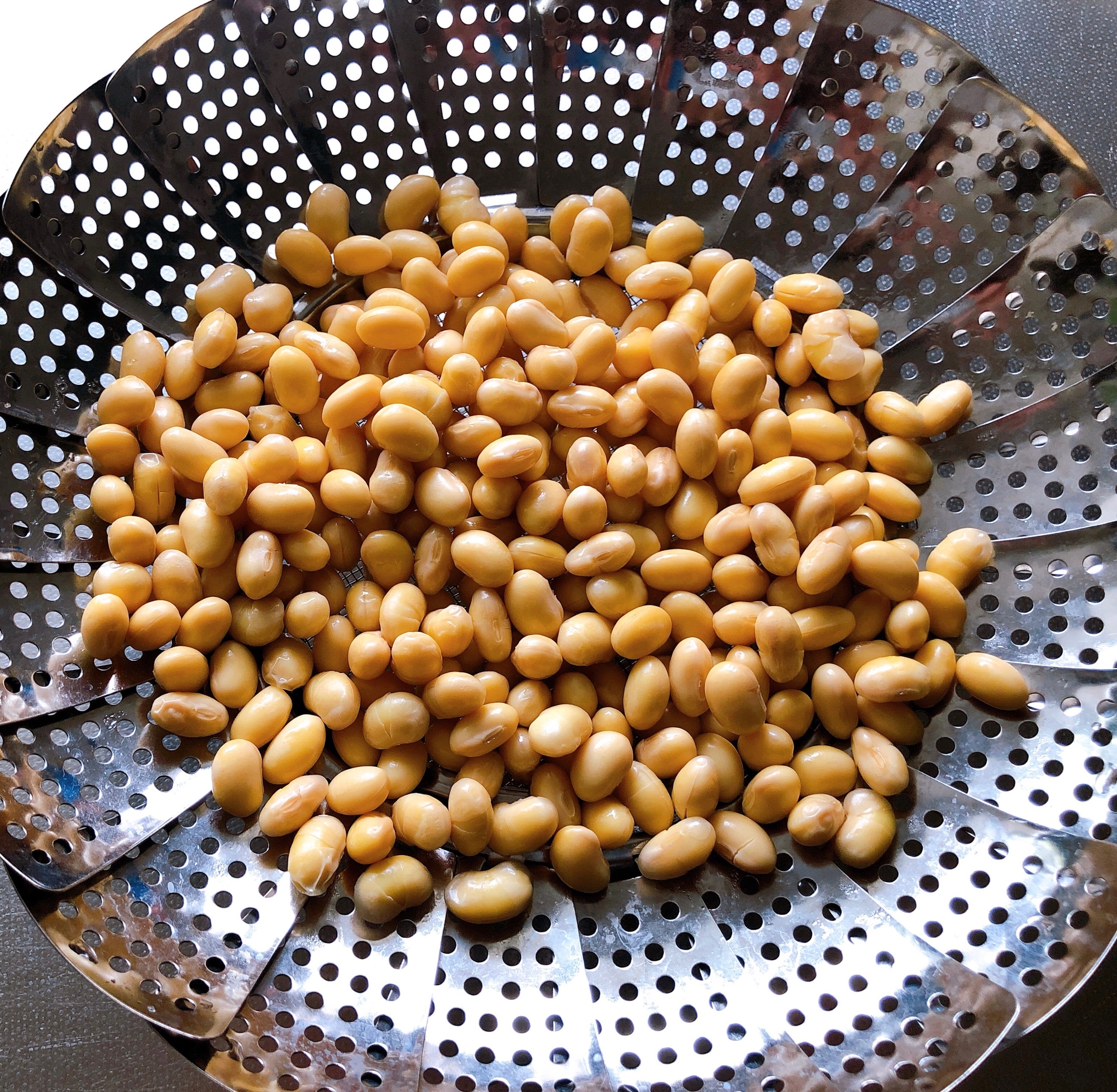 普通の鍋で蒸し大豆