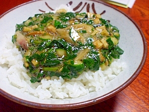 モロヘイヤと”山形のだし”のコラボ丼❤