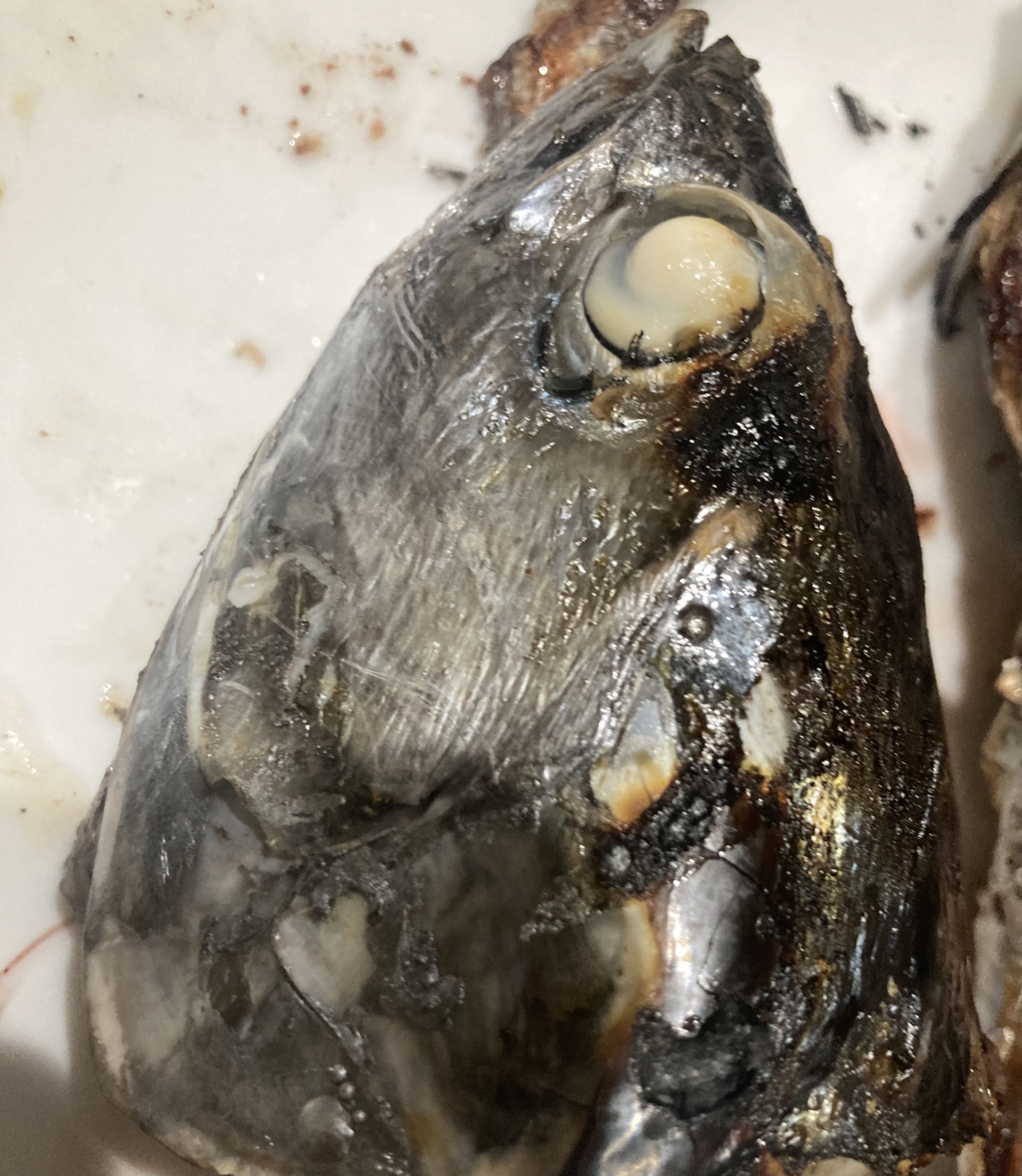 かつおの頭の豪快塩焼き レシピ 作り方 By へんてこへんてこママ 楽天レシピ かつおの頭の豪快塩焼き レシピ 作り方 By へんてこへんてこママ 楽天レシピ