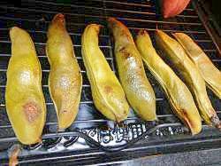 ヘルシオレシピ 焼きそらまめ レシピ 作り方 By まの925 楽天レシピ ヘルシオレシピ 焼きそらまめ レシピ 作り方 By まの925 楽天レシピ