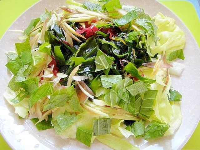 海藻とミョウガ大葉レタスのサラダ