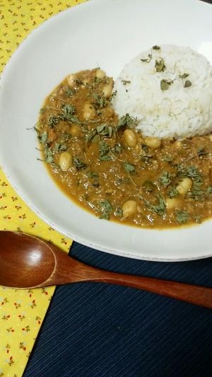 辛すぎない、まろやか大豆のスパイスキーマカレー