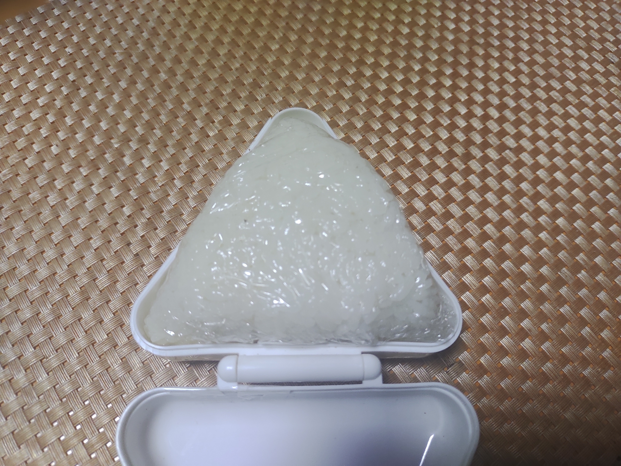 春巻おにぎり