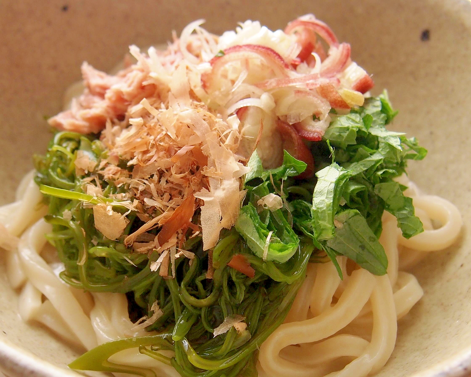 たっぷり薬味でさっぱり！ツナとめかぶのうどん