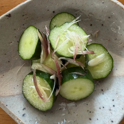 ˖°˳⌖きゅうりと茗荷の浅漬け⌖˳°˖