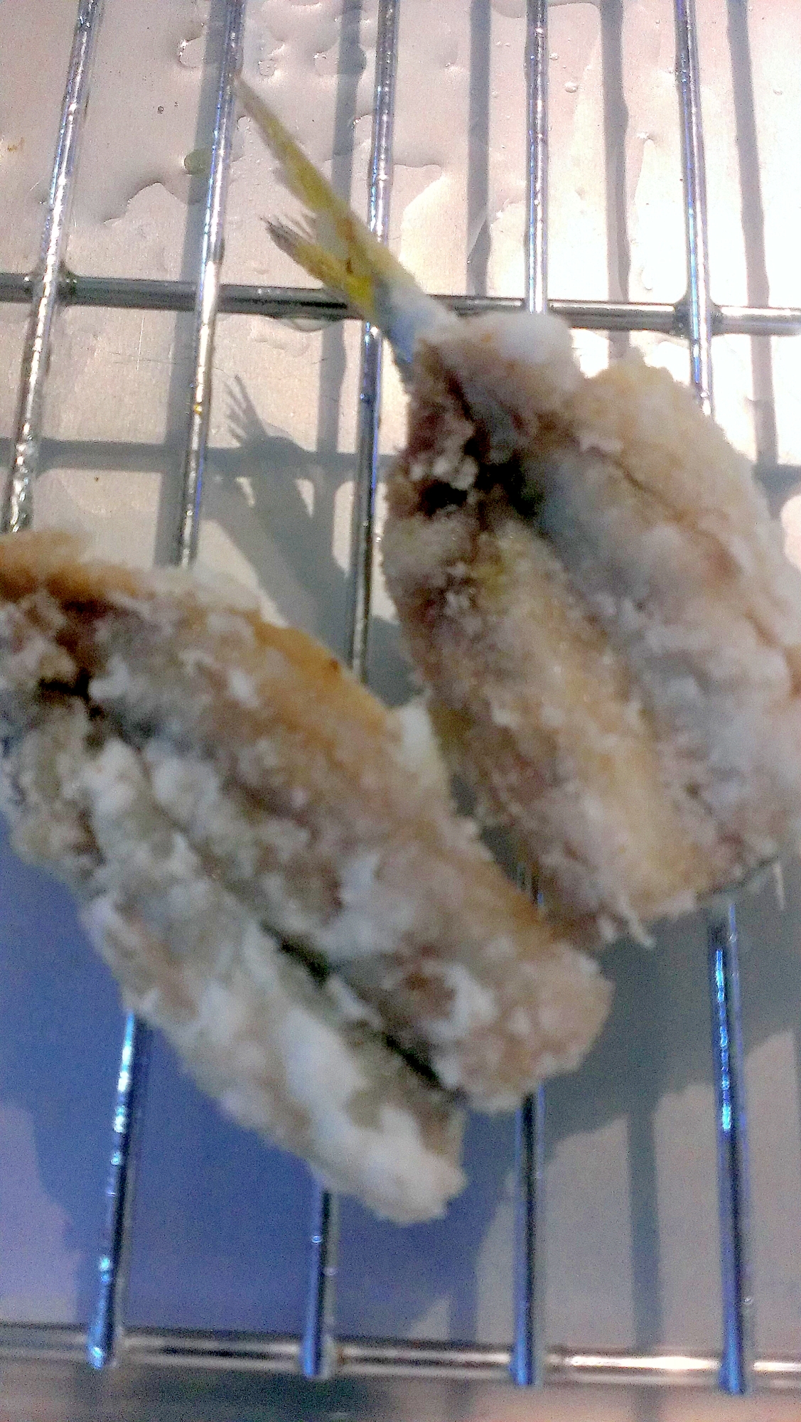 子供が喜ぶ サッパのから揚げ レシピ 作り方 By アルバンドロー 楽天レシピ 子供が喜ぶ サッパのから揚げ レシピ 作り方 By アルバンドロー 楽天レシピ