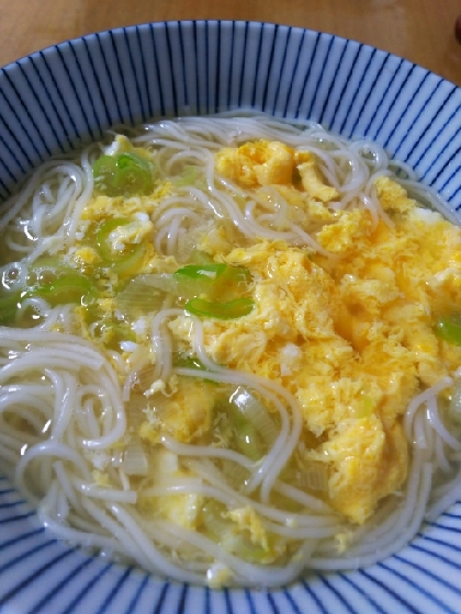 卵とネギの簡単にゅうめん