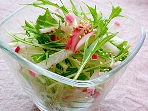 赤帽子水菜 オファー サラダ