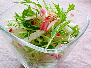 水菜と赤大根のサラダ