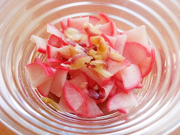 レディーサラダ 三浦大根 で甘酢漬け 茗荷 レシピ 作り方 By ジョン リーバス 楽天レシピ