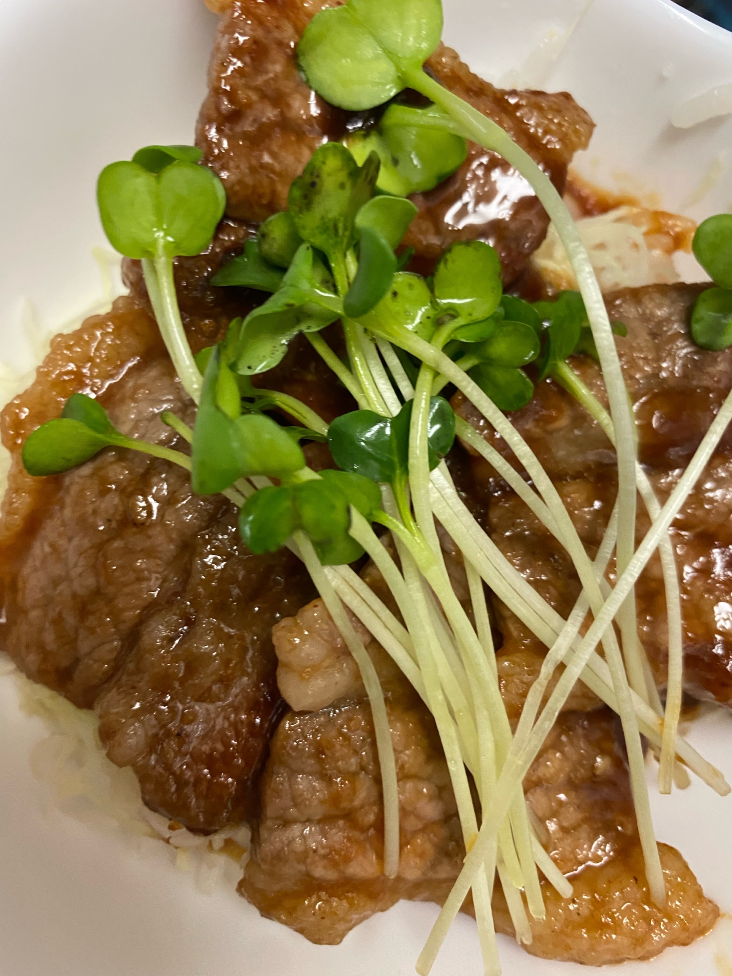 簡単　焼肉丼