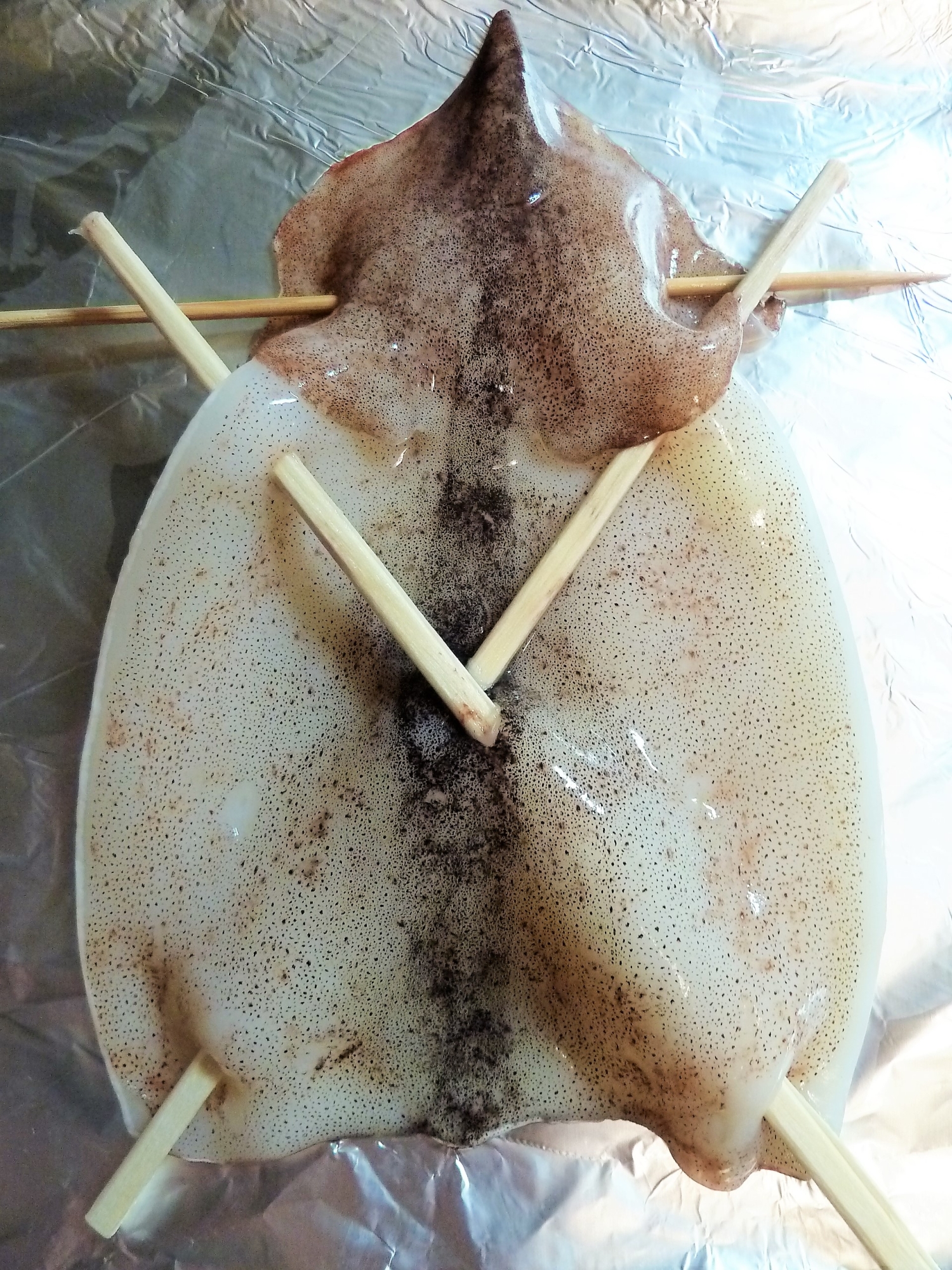 これで完璧 丸まらないイカ一夜干しの焼き方 レシピ 作り方 By Kouaya2319 楽天レシピ これで完璧 丸まらないイカ一夜干しの焼き方 レシピ 作り方 By Kouaya2319 楽天レシピ