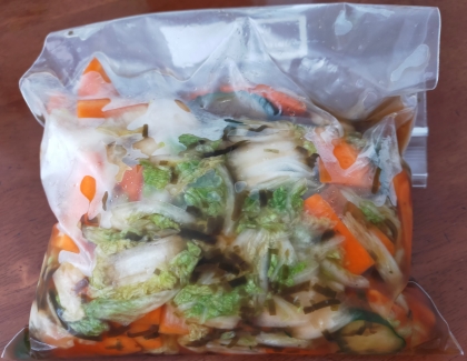 ビニール袋deギュッと季節の野菜1㎏浅漬け