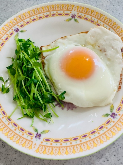 目玉焼きソーセージ、青菜添え♪