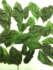 ミルなしで簡単 自家製ドライバジル作り方 保存方法 レシピ 作り方 By M H 楽天レシピ