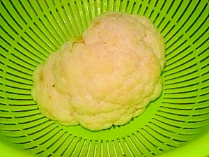 カリフラワーの茹で方