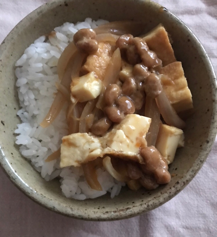 厚揚げと納豆のカレー