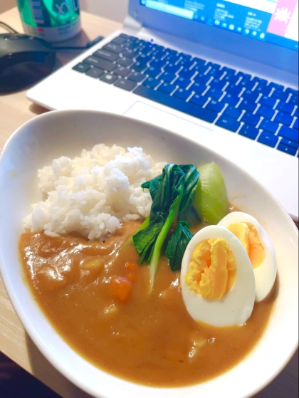 鶏ひき肉カレー