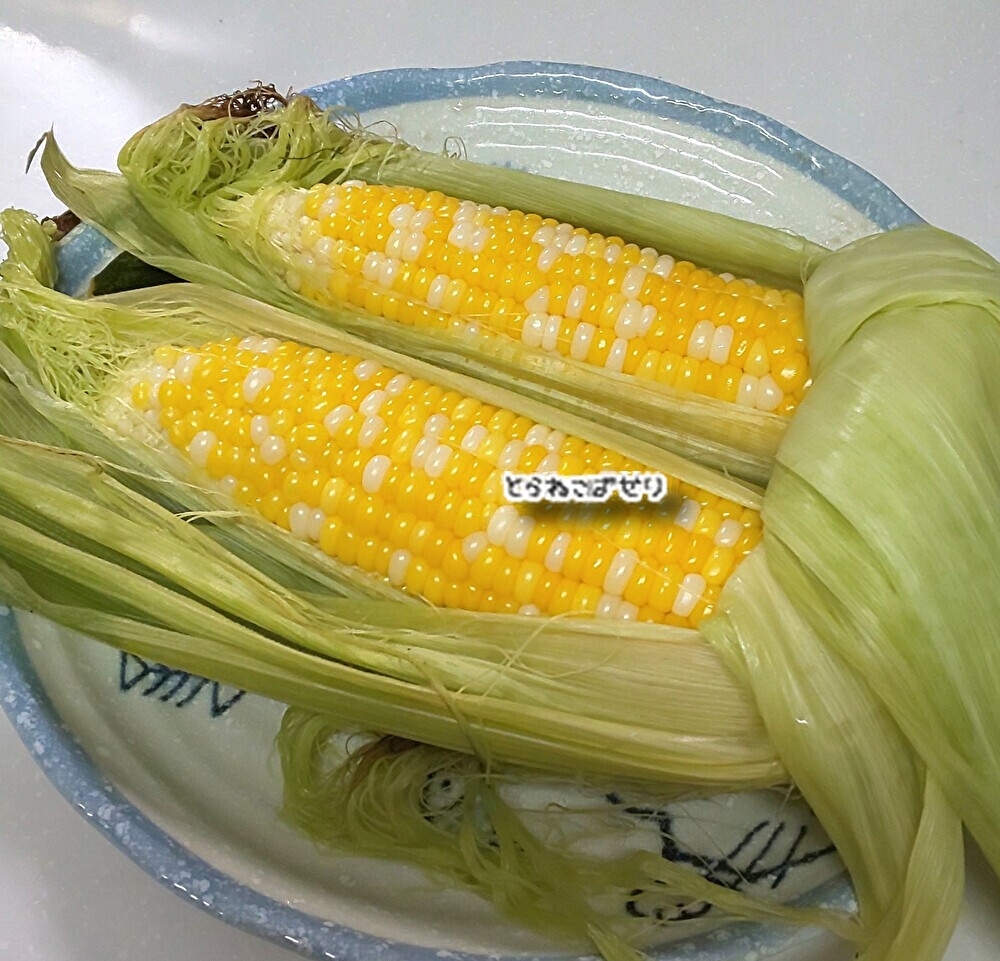 フライパンで水からゆでる✨とうもろこし