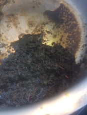 ピリ辛 お茶の葉の佃煮 レシピ 作り方 By けけり 楽天レシピ