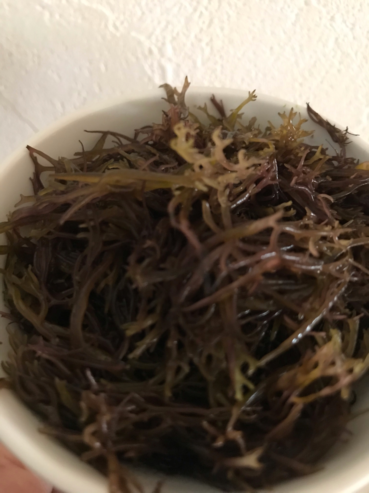 あらめと油揚げの煮物 レシピ 作り方 By 楽天出店店舗 胡麻の山田製油 楽天レシピ あらめと油揚げの煮物 レシピ 作り方 By 楽天出店店舗 胡麻の山田製油 楽天レシピ