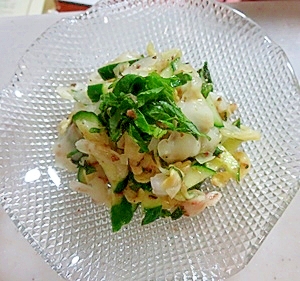 あっさり!キャベツの和え物