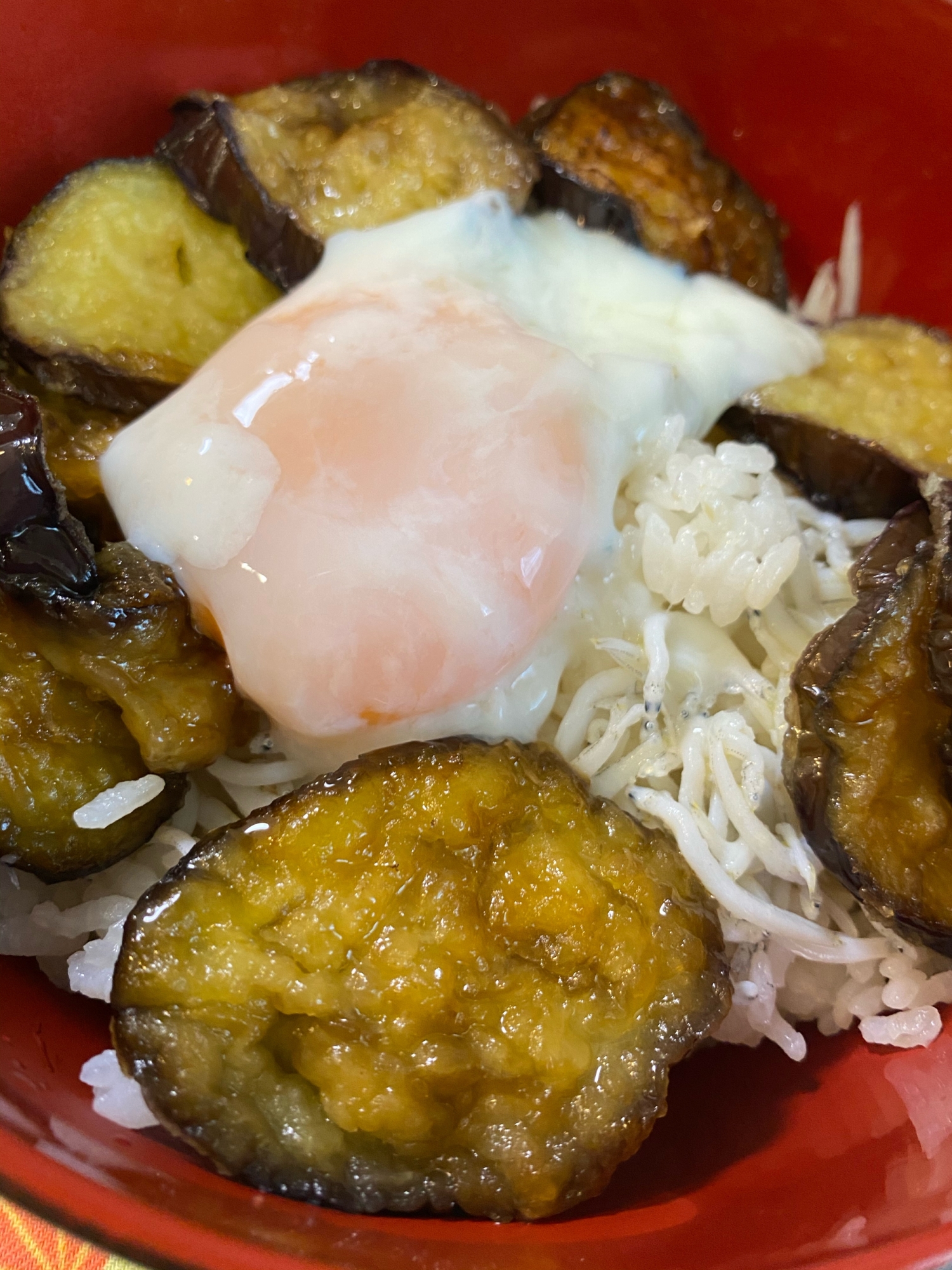 お昼ご飯に！なすの甘辛丼