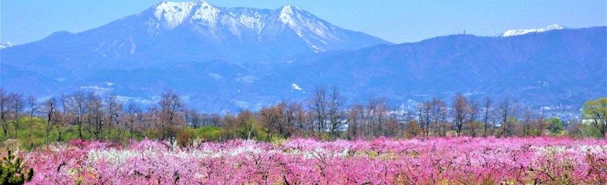 長野県須坂市