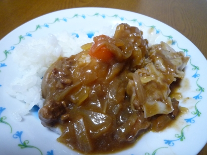 シュウマイ入りカレー