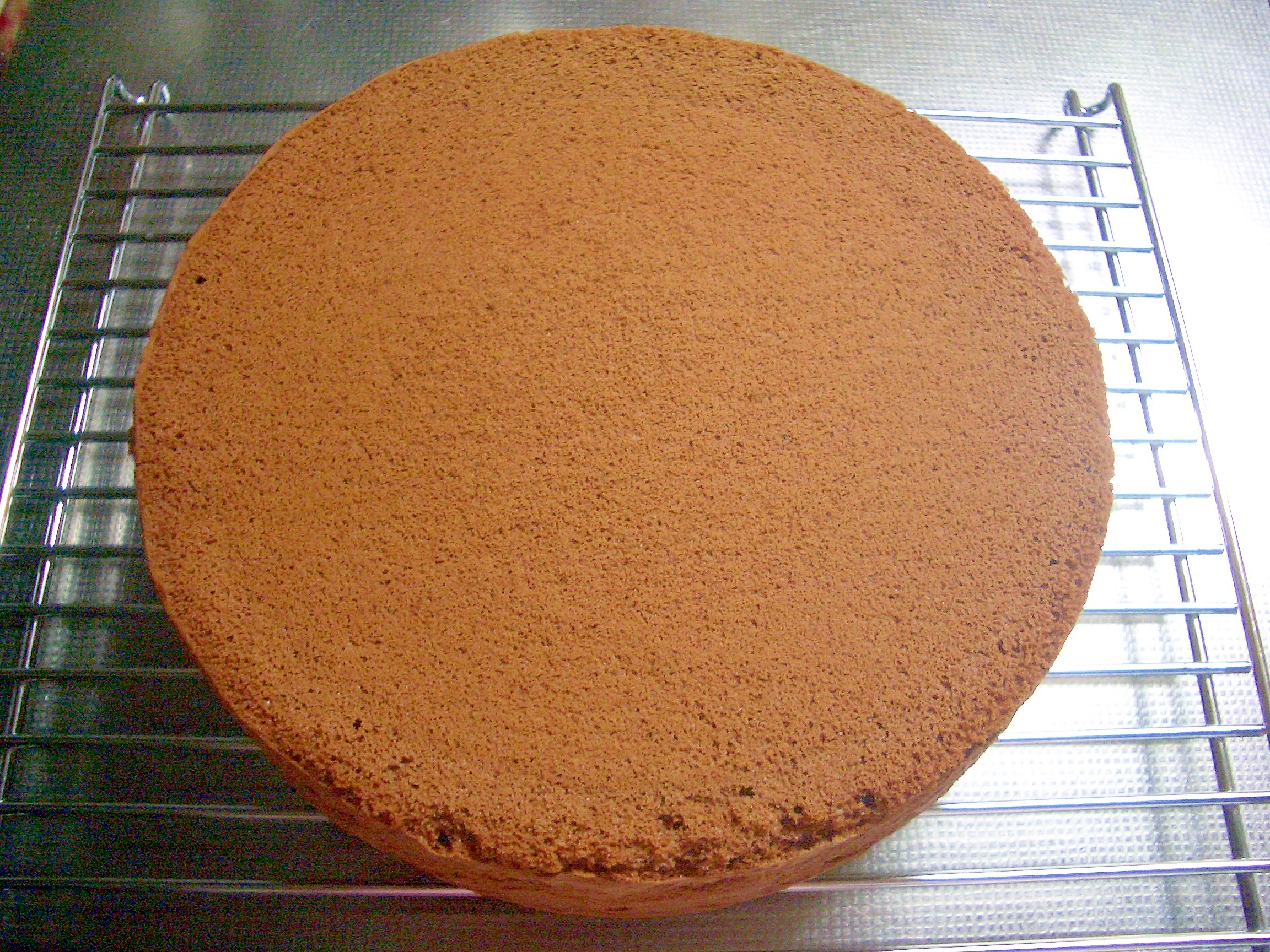 別立て ココアスポンジ レシピ 作り方 By Huhuhu13 楽天レシピ