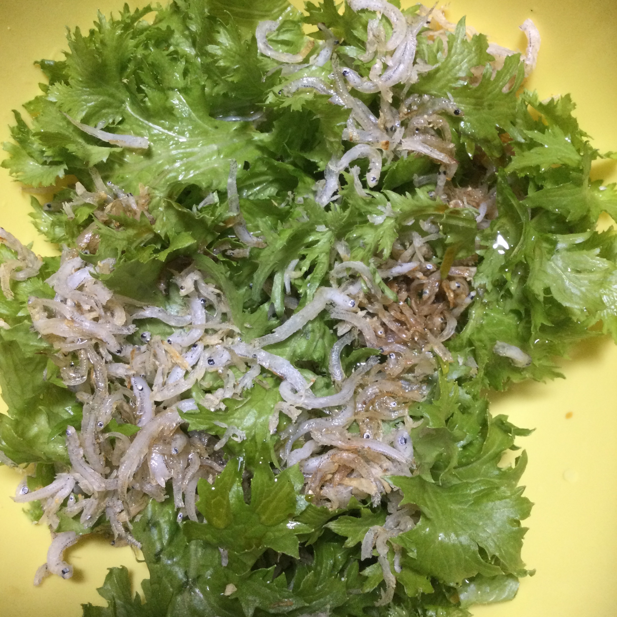 あと一品に!わさび菜のサラダ