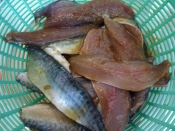 お魚嫌いの方必見 サバの竜田揚げ レシピ 作り方 By マミイ4068 楽天レシピ