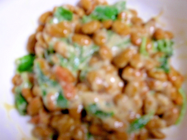 梅紫蘇の納豆
